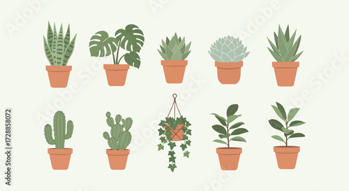 A collection of ten different illustrated houseplants, including succulents and cacti, in simple terracotta pots.