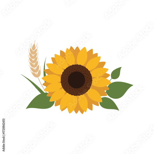 Bright sunflower and wheat stalk harvest summer nature floral icon vector