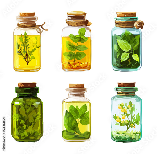 vector illustration, isolate,   jars with herbal extracts