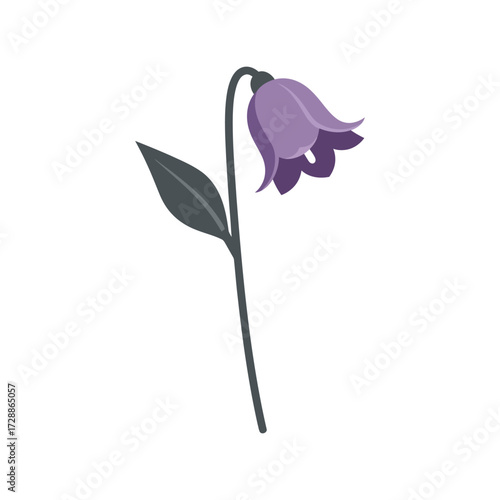 Single delicate purple bellflower blossom simple minimalist botanical illustration vector