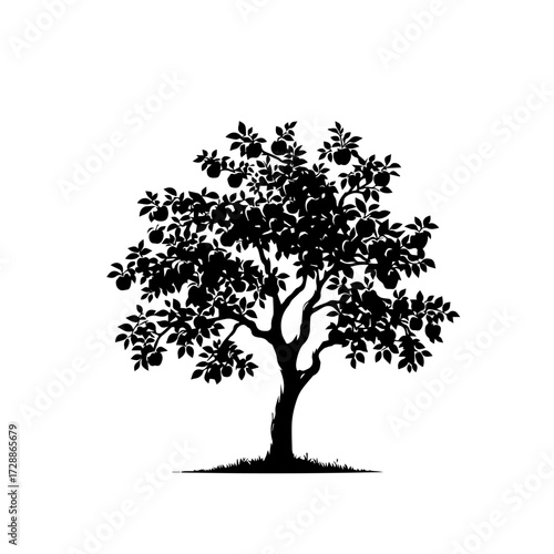 Apple Tree Vector Illustration – Orchard with Fresh Seasonal Apples