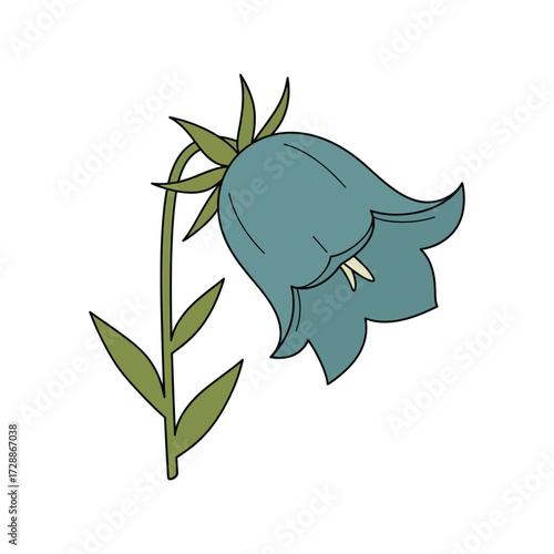 Delicate bluebell flower illustration simple line art botanical garden nature beauty vector
