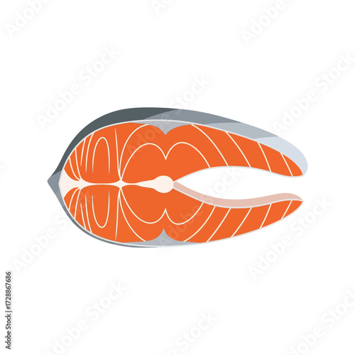 Fresh salmon steak cut raw seafood protein healthy diet food ingredient vector
