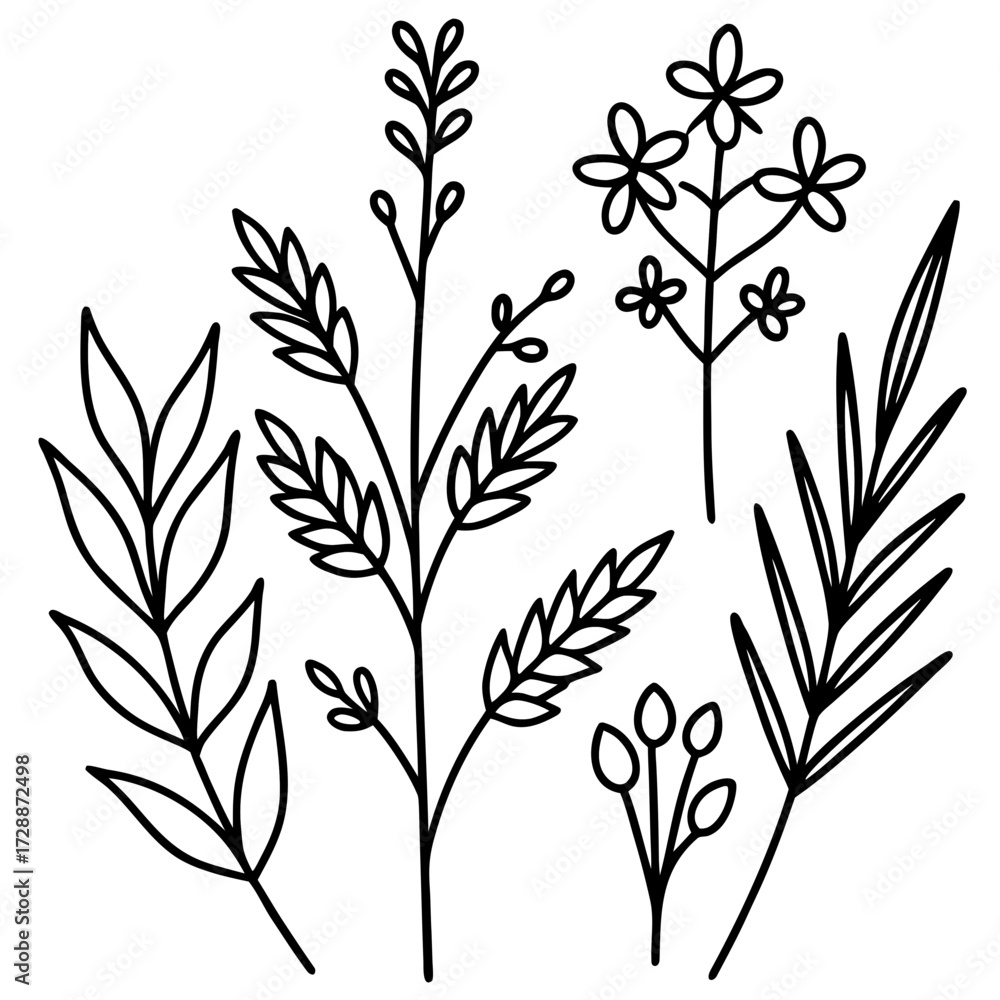 Naklejka premium Botanical Line Art Collection