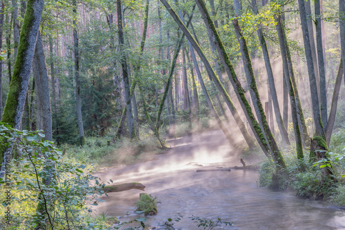 Fototapeta Naklejka Na Ścianę i Meble -   Mglisty poranek nad rzeką na Mazurach.