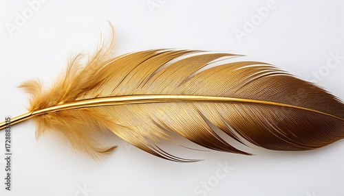 photo of golden feather white background isolated