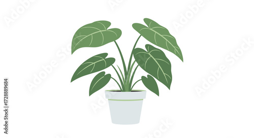 A lush green potted plant with large leaves stands tall.