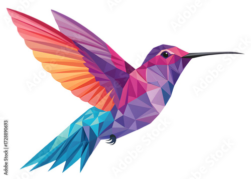 Hummingbird  on white background