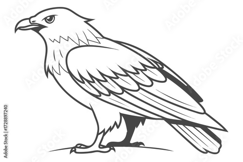 Raven vs Crow Size Comparison Vector Line Art - Black Bird Wildlife Graphic