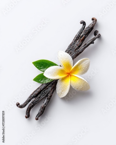 Vanilla Beans With Plumeria Flower On White Background