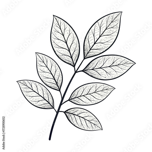 Stylized leaf branch illustration with nine veined leaves in black and white sketch style