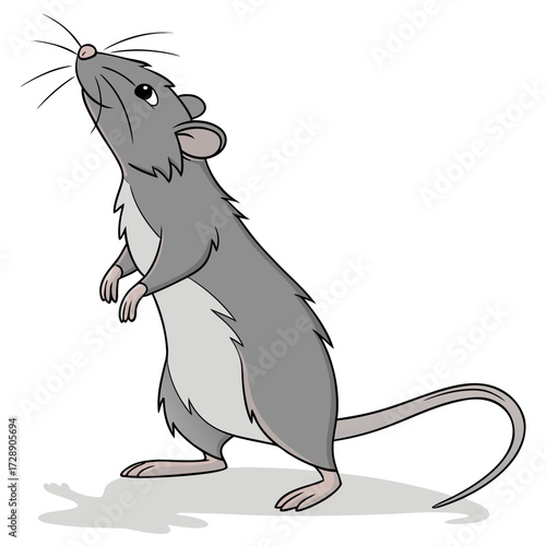 Cute cartoon gray rat standing on hind legs looking upwards with curiosity and a playful expression