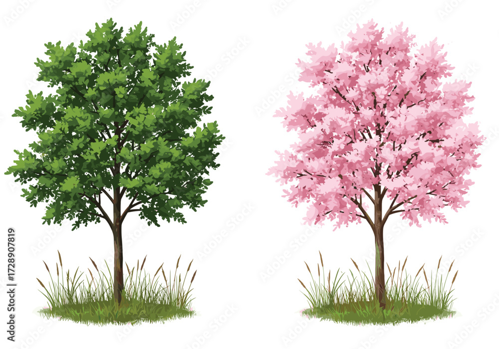 Obraz premium Beautiful lush green tree and soft pink blossoming tree side by side, seasonal contrast, outdoor garden landscape, natural foliage, spring nature scenery environment