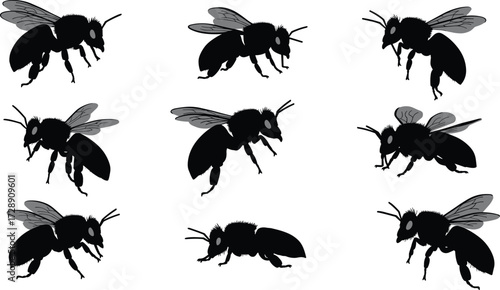 Bee insect silhouette set with flying and resting poses, black honeybee vector illustration for pollination, entomology, agriculture, nature, wildlife and environment design