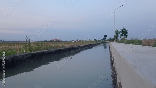 water flowing in the rice field ditch, rice field irrigation water flowing