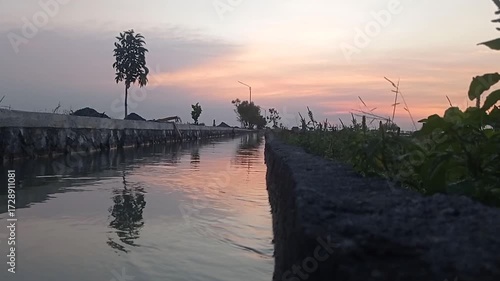 beautiful view of the yellowing afternoon sky in the rice fields with irrigation water in the ditches