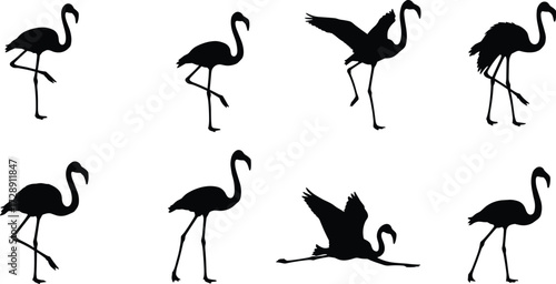 Flamingo bird silhouettes collection, tropical wildlife vector artwork, exotic animal illustration, wading bird design, aquatic nature drawing, black white coastal artwork