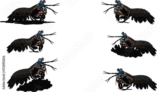 Mantis shrimp colorful vector illustration, marine crustacean artwork, ocean sea creature design, underwater wildlife drawing, exotic shrimp silhouette, aquatic animal graphic icon