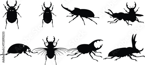 Silhouette collection of beetles and insects with horns and wings, black vector illustration, natural wildlife bug design for entomology and decorative use