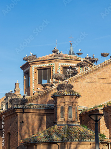 Gaviota en la catedral 