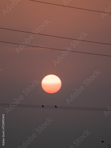 Amanecer eléctrico