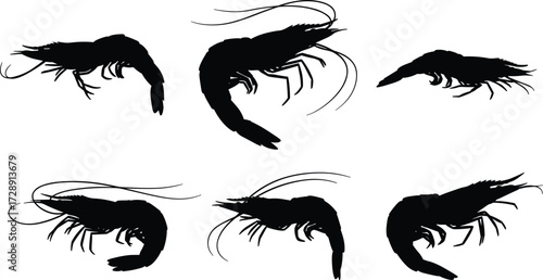 Silhouette of shrimps, marine seafood illustration, ocean animal vector, crustacean drawing, aquatic sea life shapes, isolated shrimp collection, biology nature study design
