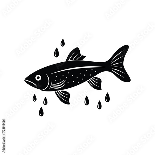 Danios fish jumping out of water with splash and droplets