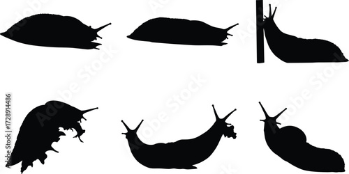 Slug silhouette collection, black slug illustration, crawling pest design, garden slug vector, wildlife artwork, nature icon, mollusk silhouette, slow animal graphic set