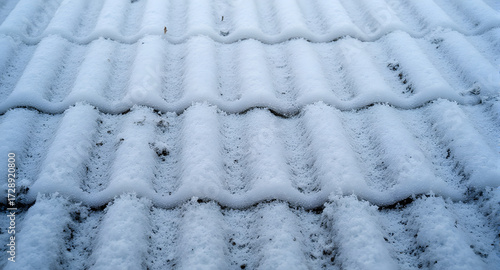 Snow Covered Roof Tiles