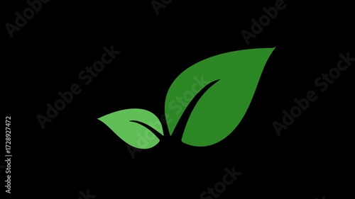 animation of leaves shake blowing by the wind in alpha channel. leaf ornament cartoon. nature