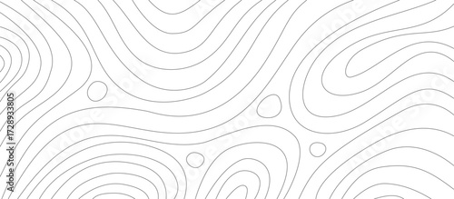 abstract wavy contour Background. Topographic Contour Background. abstract wavy wallpaper.