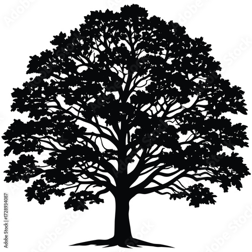 Detailed black and white silhouette of a mature oak tree with intricate branches and leaves