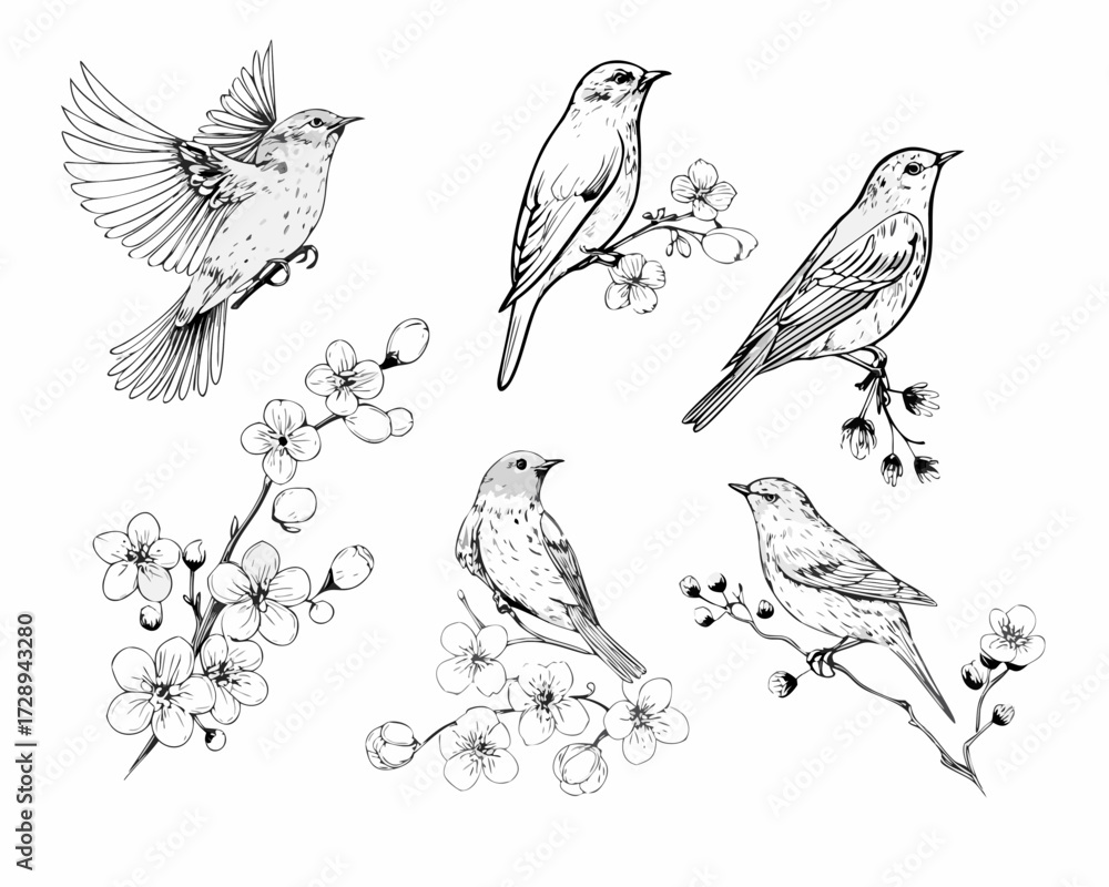 Obraz premium Collection of hand drawn birds perched on blossoming branches and in flight