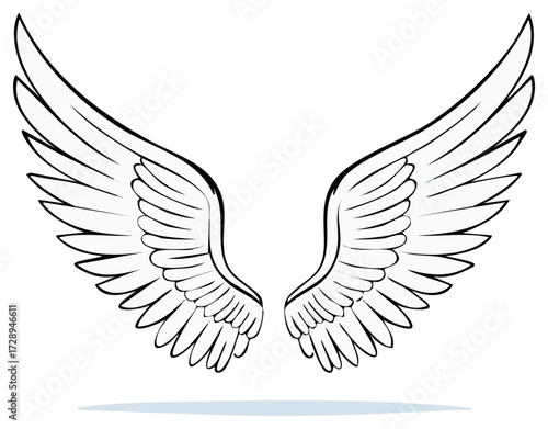 Elegant spread open angel wings black and white line art illustration