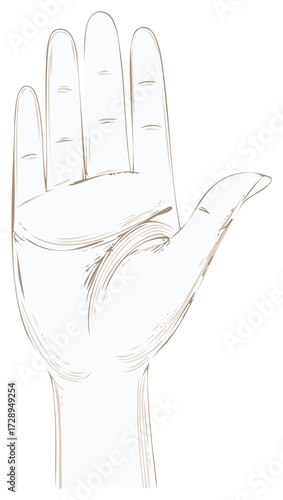 Sketch of a Hand Open in a Gesture of Acceptance Support or Request