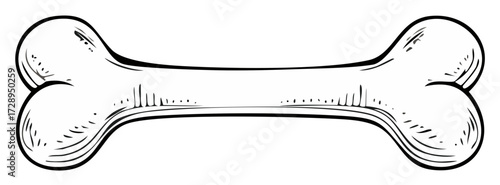 Hand-drawn dog bone illustration with a classic sketch art style