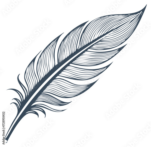 Elegant Hand-Drawn Feather Illustration with Intricate Lines and Vintage Art Style