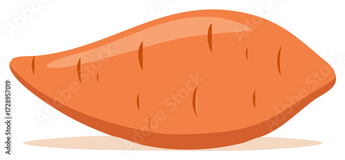 Single organic fresh sweet potato vegetable illustration graphic design element healthy food ingredient