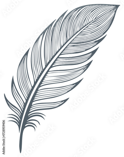Elegant Line Art of a Feather Plume Graceful Design Element on White