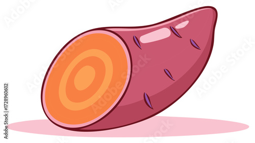 Sweet Potato Slice and Whole Vegetable Illustration