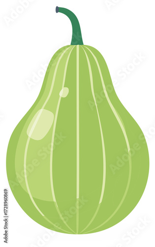 Green Calabash Illustration Freshness Vegetable Healthy Food Ingredient Nutrition