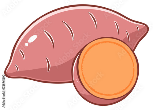 Vector illustration of a sweet potato tuber and a slice of sweet potato.