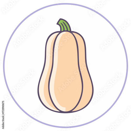 Butternut squash illustration with light purple outline and circle border, design for food packaging or harvest festival