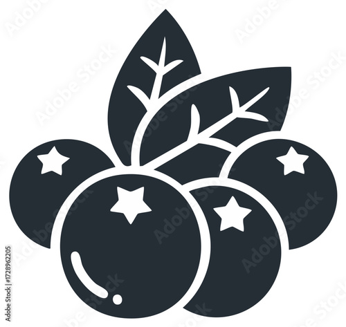 Stylized illustration of blueberries and leaves with star details.