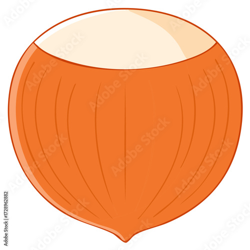 Hazelnut Illustration, Nut Brown Color, Single Vector Image, Healthy Food Element, Isolated