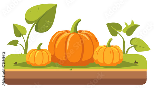 Pumpkin Patch: Three Orange Pumpkins with Green Vines Growing in Brown Soil Illustration