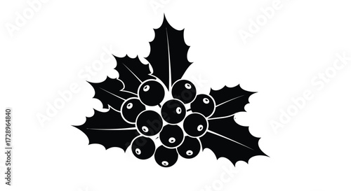 Silhouette of holly berry branch for christmas