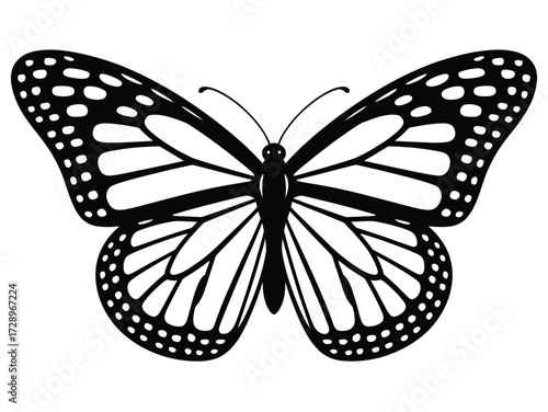 Elegant butterfly silhouette isolated on white background, minimal black vector illustration design