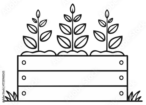 Line art illustration of three young plants in a wooden box garden.