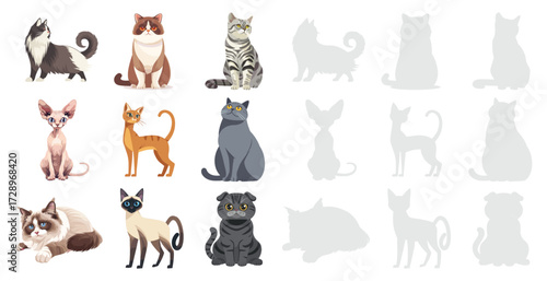 Cat breeds set vector illustration collection of domestic cats, cute kittens, cartoon pets, pedigree animals isolated on white background